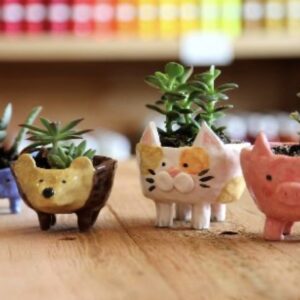 Families Make a Pet Planter Pot Workshop- 1.5 hours-One Day