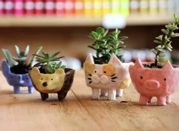 Families Make a Pet Planter Pot Workshop- 1.5 hours-One Day