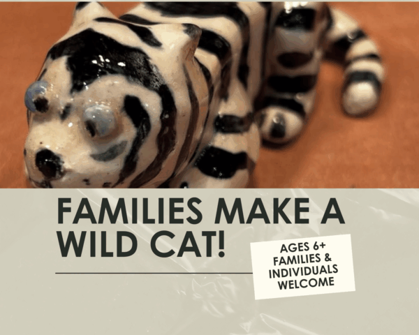 Families Make a Wild Cat Workshop- 1.5 hours-One Day